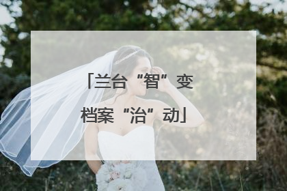 兰台“智”变 档案“治”动