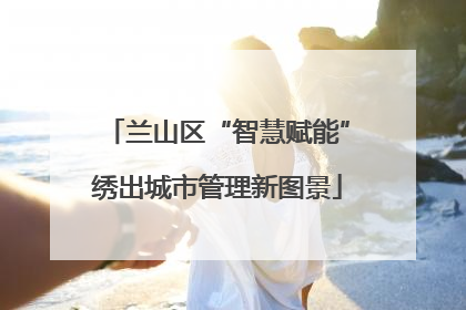 兰山区“智慧赋能”绣出城市管理新图景