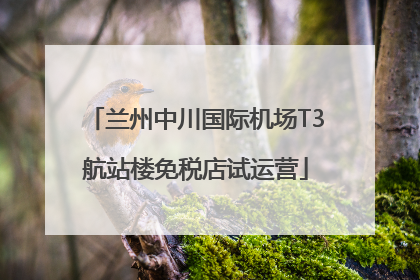兰州中川国际机场T3航站楼免税店试运营