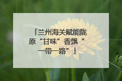 兰州海关赋能陇原“甘味”香飘“一带一路”