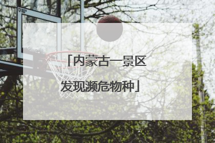 内蒙古一景区发现濒危物种