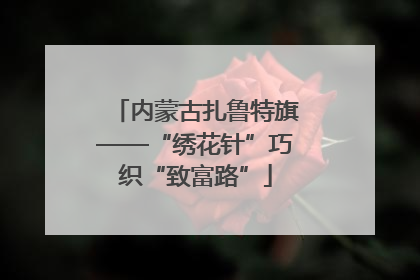 内蒙古扎鲁特旗——“绣花针”巧织“致富路”