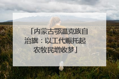 内蒙古鄂温克族自治旗：以工代赈托起农牧民增收梦