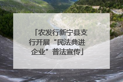 农发行新宁县支行开展“民法典进企业”普法宣传