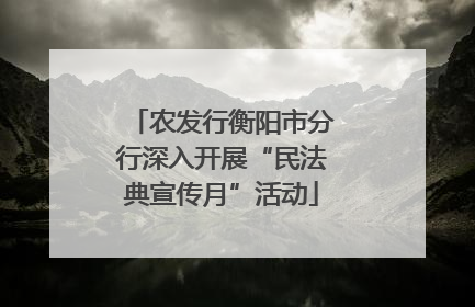 农发行衡阳市分行深入开展“民法典宣传月”活动
