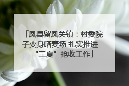 凤县留凤关镇：村委院子变身晒麦场 扎实推进“三夏”抢收工作