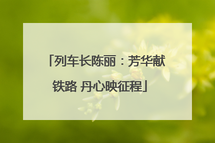 列车长陈丽：芳华献铁路 丹心映征程