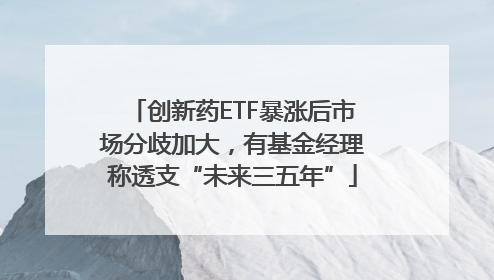 创新药ETF暴涨后市场分歧加大，有基金经理称透支“未来三五年”