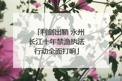 利剑出鞘 永州长江十年禁渔执法行动全面打响