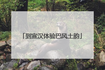 到宣汉体验巴风土韵