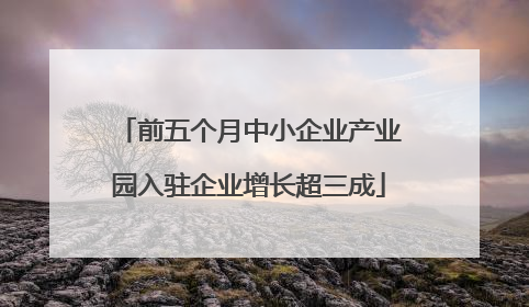 前五个月中小企业产业园入驻企业增长超三成