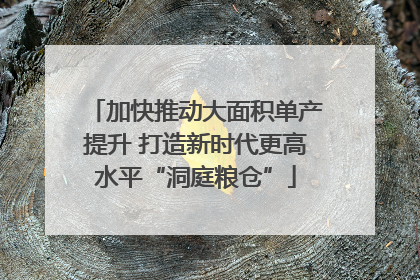 加快推动大面积单产提升 打造新时代更高水平“洞庭粮仓”