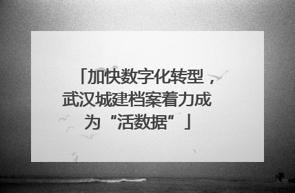 加快数字化转型，武汉城建档案着力成为“活数据”