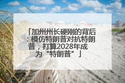 加州州长硬刚的背后：模仿特朗普对抗特朗普，打算2028年成为“特朗普”