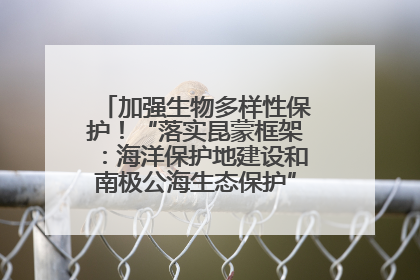 加强生物多样性保护！“落实昆蒙框架：海洋保护地建设和南极公海生态保护”主题论坛将举办