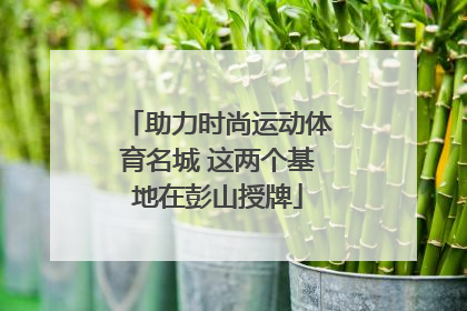 助力时尚运动体育名城 这两个基地在彭山授牌