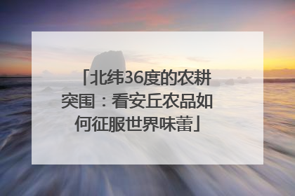 北纬36度的农耕突围：看安丘农品如何征服世界味蕾