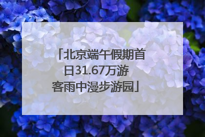 北京端午假期首日31.67万游客雨中漫步游园