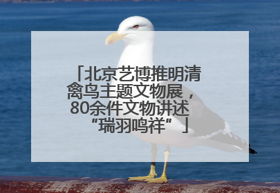 北京艺博推明清禽鸟主题文物展，80余件文物讲述“瑞羽鸣祥”