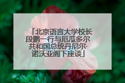 北京语言大学校长段鹏一行与厄瓜多尔共和国总统丹尼尔·诺沃亚阁下座谈