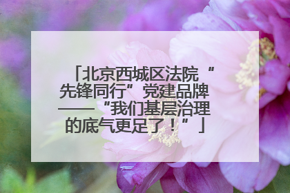北京西城区法院“先锋同行”党建品牌——“我们基层治理的底气更足了！”