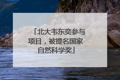 北大韦东奕参与项目，被提名国家自然科学奖