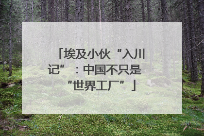 埃及小伙“入川记”：中国不只是“世界工厂”
