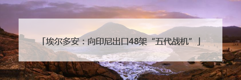 埃尔多安：向印尼出口48架“五代战机”