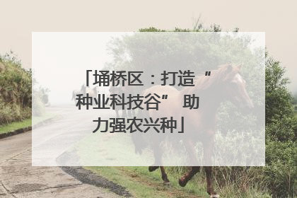 埇桥区：打造“种业科技谷” 助力强农兴种