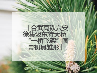 合武高铁六安徐集汲东特大桥“一桥飞架”图景初具雏形