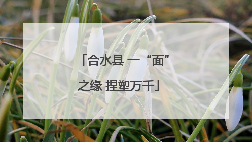 合水县 一“面”之缘 捏塑万千