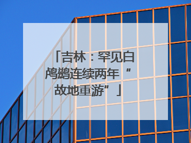 吉林：罕见白鸬鹚连续两年“故地重游”