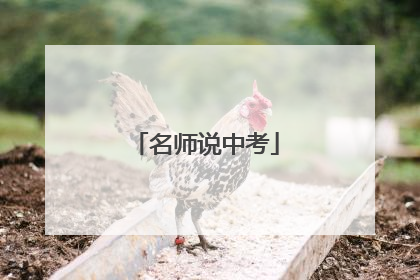 名师说中考