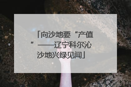 向沙地要“产值”——辽宁科尔沁沙地兴绿见闻