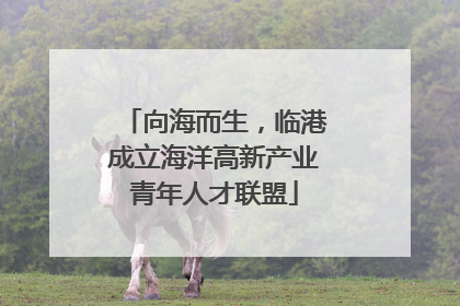 向海而生，临港成立海洋高新产业青年人才联盟