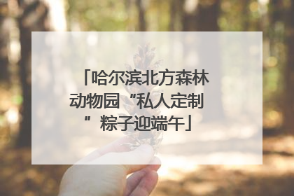 哈尔滨北方森林动物园“私人定制”粽子迎端午
