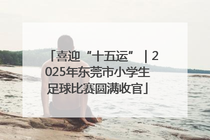 喜迎“十五运”｜2025年东莞市小学生足球比赛圆满收官