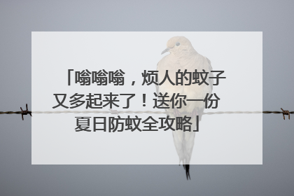嗡嗡嗡，烦人的蚊子又多起来了！送你一份夏日防蚊全攻略