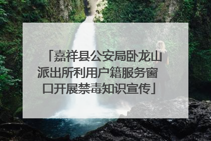 嘉祥县公安局卧龙山派出所利用户籍服务窗口开展禁毒知识宣传