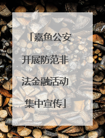 嘉鱼公安开展防范非法金融活动集中宣传