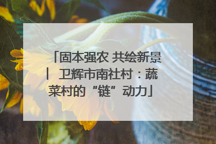 固本强农 共绘新景 ︳卫辉市南社村：蔬菜村的“链”动力