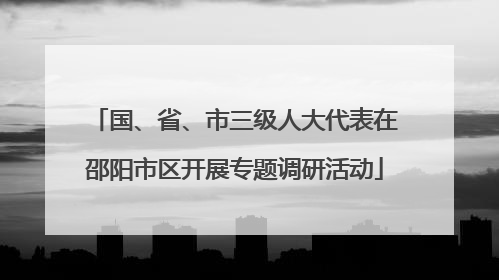 国、省、市三级人大代表在邵阳市区开展专题调研活动