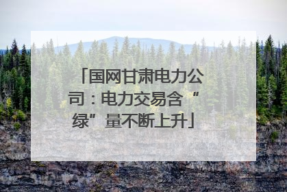 国网甘肃电力公司：电力交易含“绿”量不断上升