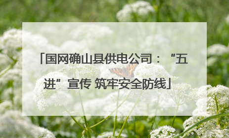 国网确山县供电公司：“五进”宣传 筑牢安全防线