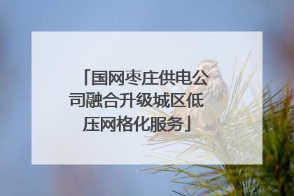 国网枣庄供电公司融合升级城区低压网格化服务