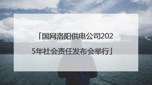 国网洛阳供电公司2025年社会责任发布会举行