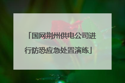 国网荆州供电公司进行防恐应急处置演练