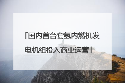 国内首台套氢内燃机发电机组投入商业运营