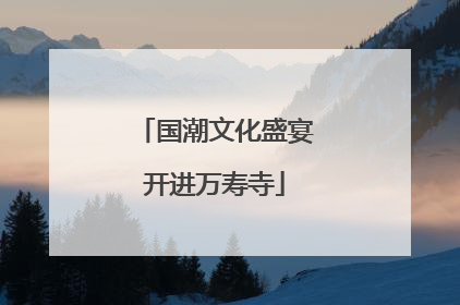 国潮文化盛宴开进万寿寺