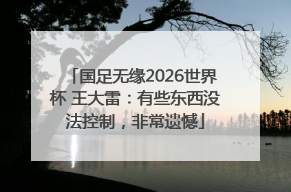 国足无缘2026世界杯 王大雷：有些东西没法控制，非常遗憾